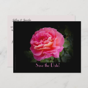 Cartão Postal De Anúncio Salve a data Vow Renewony Ceremony Rosa Rosa Rosa