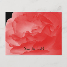 Cartão Postal De Anúncio Salve a rosa-rosa-coral Festa de aniversário com 9