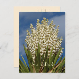 Cartão Postal De Anúncio Salve o Cartão-Postal de Celebração de Aniversário