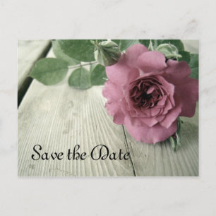 Cartão Postal De Anúncio Salve o Cartão-postal Rosa Rosa Rosa de Data