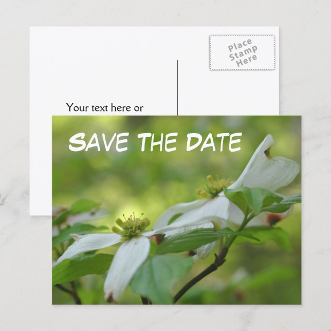 Cartão Postal De Anúncio Save The Date Dogwood Flower Photo  (Frente/Verso)