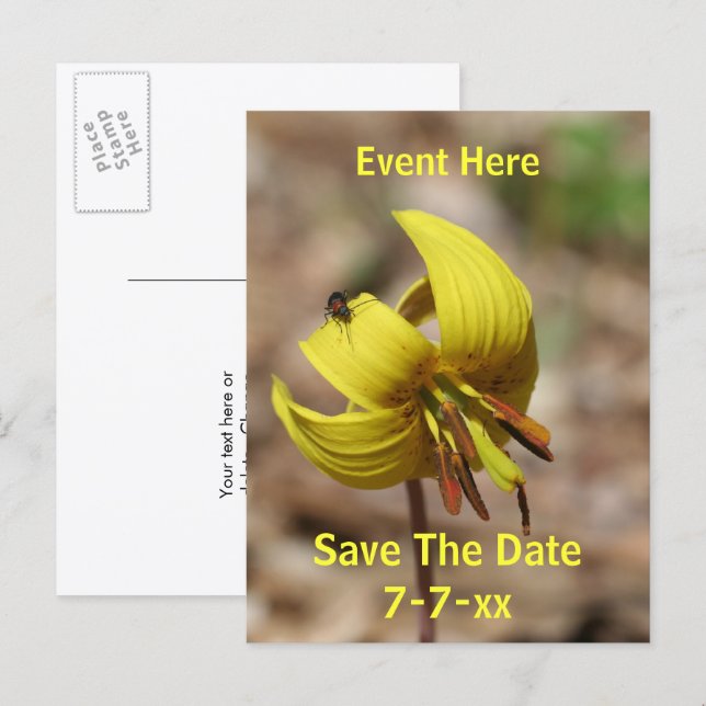 Cartão Postal De Anúncio Save The Date Wild Trout Lily Flower  (Frente/Verso)