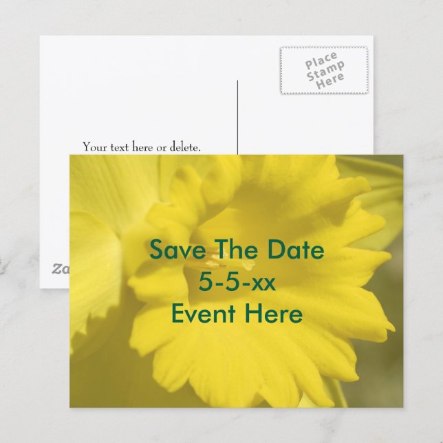 Cartão Postal De Anúncio Save The Date Yellow Daffodil Flower  (Frente/Verso)