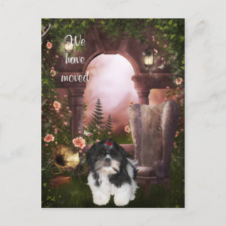 Cartão Postal De Anúncio Shih Tzu Cartão-postal