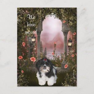 Cartão Postal De Anúncio Shih Tzu Cartão-postal