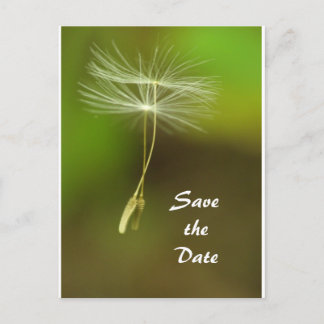 Cartão Postal De Anúncio Sinta-se livre - Sementes de Dandelion voadoras
