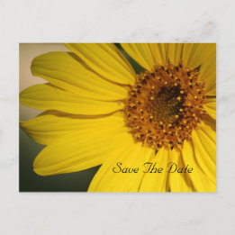 Cartão Postal De Anúncio Sunflower Save The Date Postcard