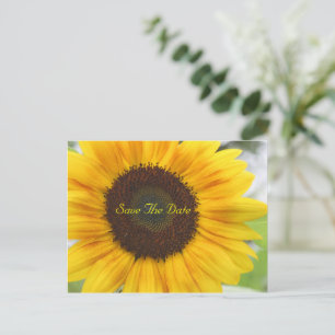 Cartão Postal De Anúncio Sunflower Save The Date Postcard