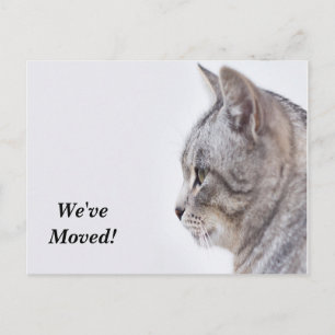 Cartão Postal De Anúncio Tiffany, movemos o novo cartão-postal de endereço