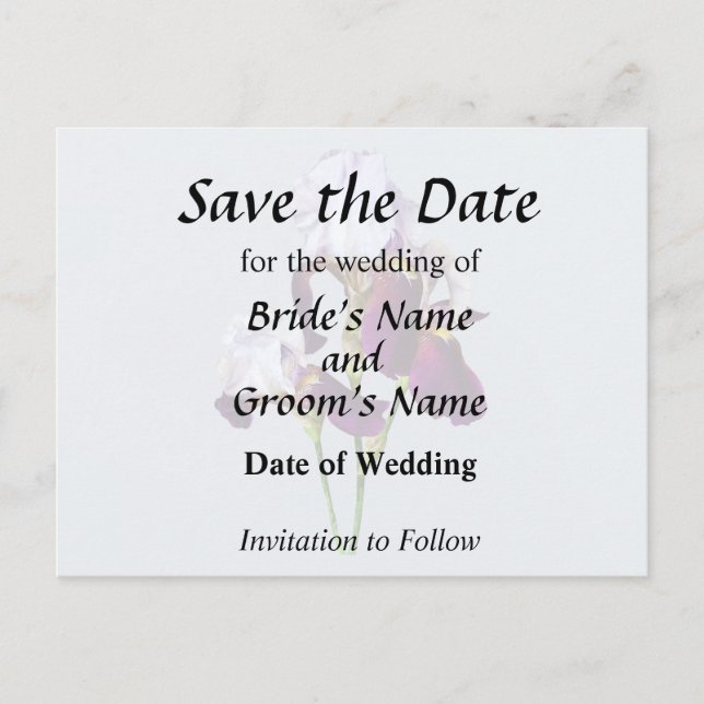 Cartão Postal De Anúncio Três Íris em Tons de Magenta (Frente)