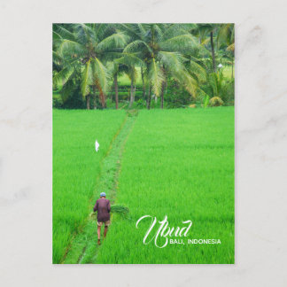 Cartão Postal De Anúncio Um fazendeiro em campo de arroz em Ubud, Bali, Ind