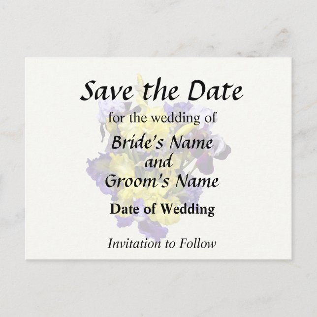 Cartão Postal De Anúncio Variedade de Íris Amarelos e Roxos (Frente)