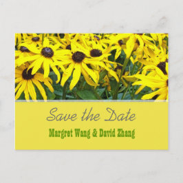 Cartão Postal De Anúncio Vibrantes flores amarelas de margarida de verão sa