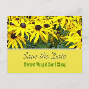 Cartão Postal De Anúncio Vibrantes flores amarelas de margarida de verão sa