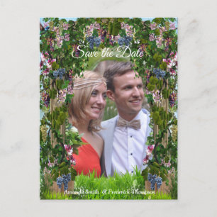 Cartão Postal De Anúncio Vides, Madressilvas e Beija-flores