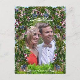 Cartão Postal De Anúncio Vides, Madressilvas e Beija-flores