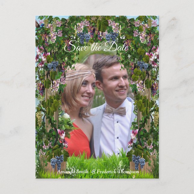 Cartão Postal De Anúncio Vinhas, Madressilvas & Beija-flores (Frente)