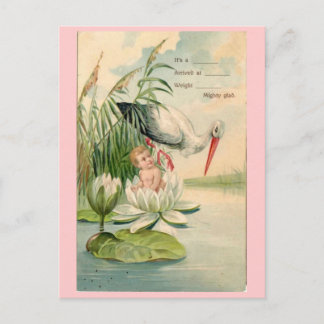 Cartão Postal De Anúncio Vintage Birth Anunciement Stork, Lily Pad, Bebê