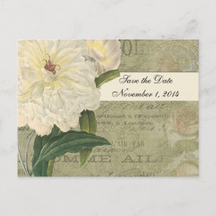 Cartão Postal De Anúncio Vintage Botanical White Peony Salvar Data