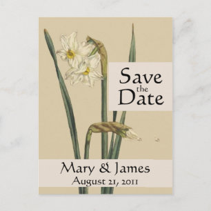 Cartão Postal De Anúncio Vintage Botanicals Daffodil Salve a Data Cartão-Po