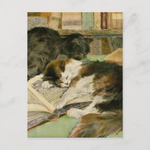 Cartão Postal De Anúncio Vintage Contented Sleepy Fluffy Cats