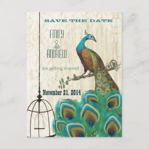 Cartão Postal De Anúncio Vintage Damask Peacock Birdcage Salvar data