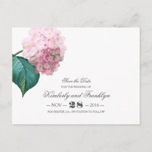 Cartão Postal De Anúncio Vintage Floral Pink Hydrangea Salvar Data
