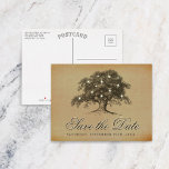 Cartão Postal De Anúncio Vintage Old Oak Tree Casamento Salvar A Data<br><div class="desc">Esse casamento antigo com carvalhos, exceto os cartões postais de data são perfeitos para qualquer casal planejando um casamento romântico antigo. O design apresenta um carvalho antigo vintage com luzes brancas brilhantes e é finalizado com um fundo de estilo vintage. Personalize facilmente este modelo para guardar o cartão postal da...</div>
