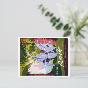 Cartão Postal De Anúncio Vintage Porto Rico Viagem Tropical Save-the-Date