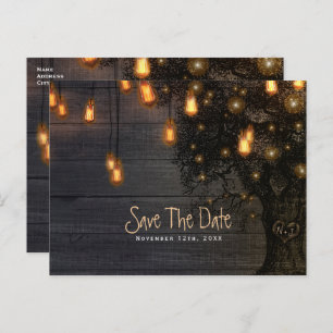 Cartão Postal De Anúncio Vintage String Lights & Tree Weding (Salvar data)