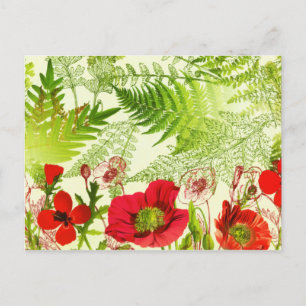 Cartão Postal De Anúncio Vintage Sunshine Poppies Blooming Floral