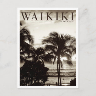 Cartão Postal De Anúncio Vintage Waikiki Palm