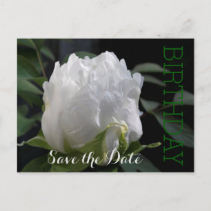 Cartão Postal De Anúncio White Peony 35º Aniversário Salve o Cartão-Post