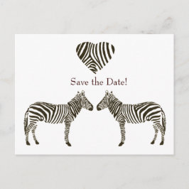 Cartão Postal De Anúncio Zebra Amor Salvar Data