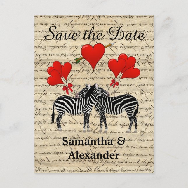 Cartão Postal De Anúncio Zebra romântica engraçada salvar a data (Frente)