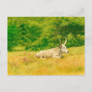 Cartão Postal de Aquarela Vaca Branca