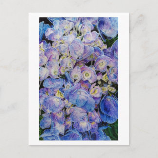 Cartão postal de Arte Botânica com Hydrangea Azul