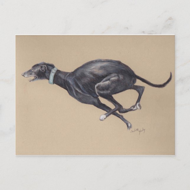 Cartão postal de arte do cão galgo preto correndo (Frente)