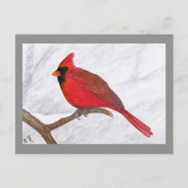 Cartão postal de arte do Cardinal