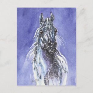 Cartão postal de arte do cavalo árabe