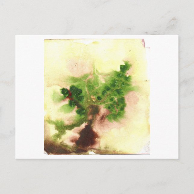 Cartão postal de árvore indefinida (Frente)