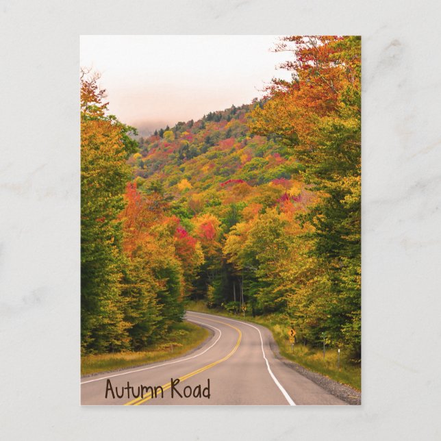 Cartão postal de Autumn Road (Frente)