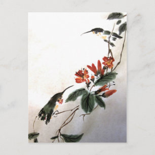 Cartão postal de aves