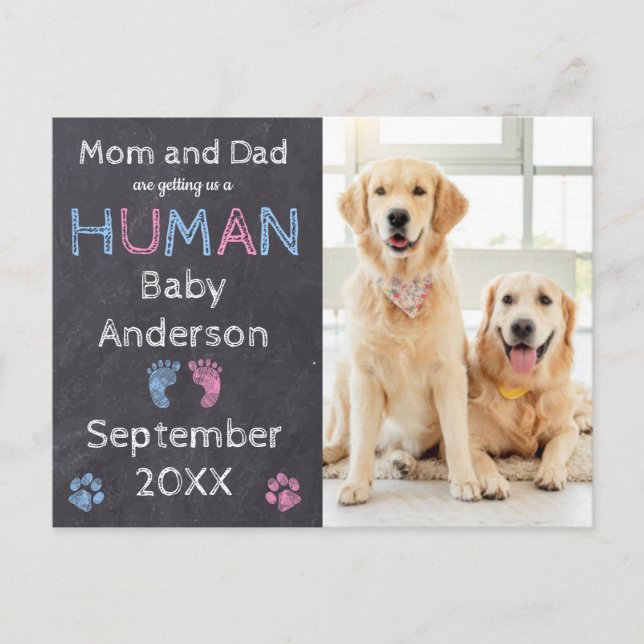 Cartão postal de aviso de gravidez de cão (Frente)