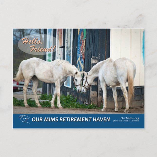 Cartão postal de Balde e Bel (Frente)