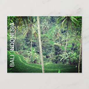 Cartão postal de Bali Indonésia