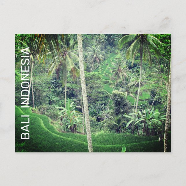 Cartão postal de Bali Indonésia (Frente)