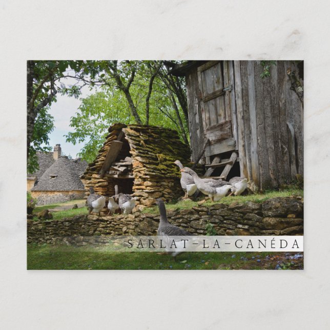 Cartão postal de bar de ganso de foie gras tradici (Frente)