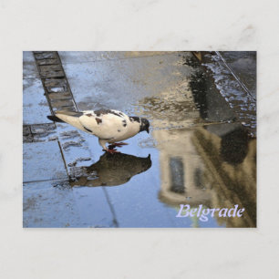Cartão postal de Belgrado
