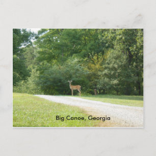 Cartão postal de Big Canoe, Geórgia